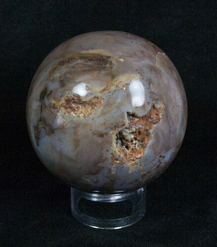 Inch Petrified Wood Sphere #4039